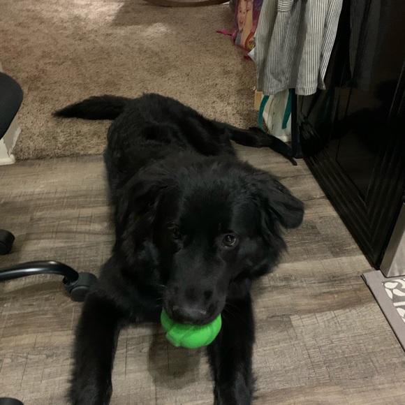 Meet your Posher, Kassey - Picture 1 of 1